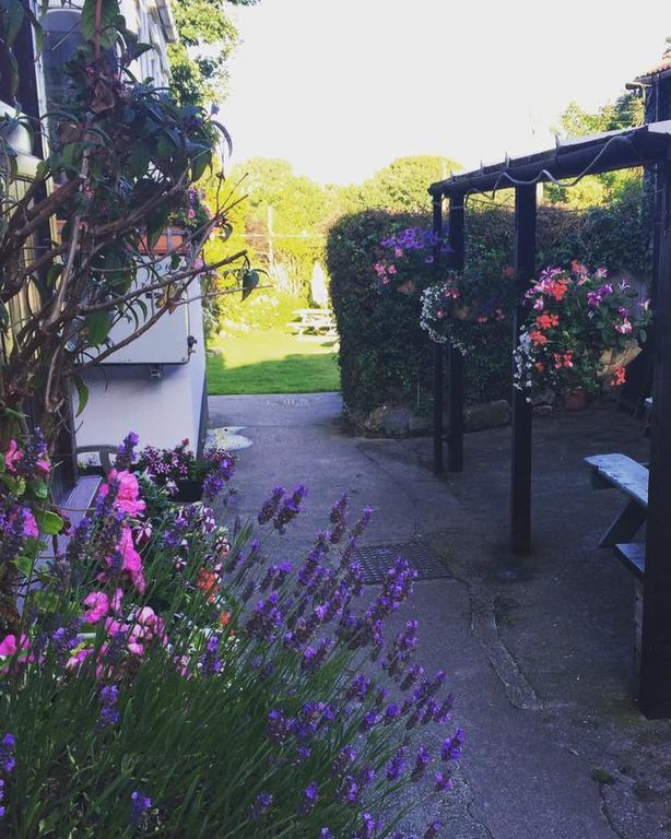 The Badger Inn Carbis Bay Exterior foto